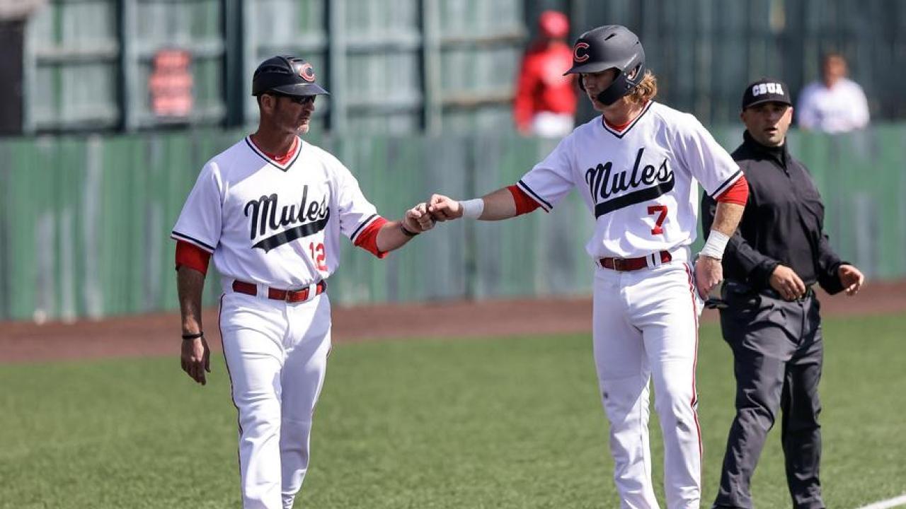 Cheap Bats Store 32 Cheap Bats Store -Cheap Bats Store UCM